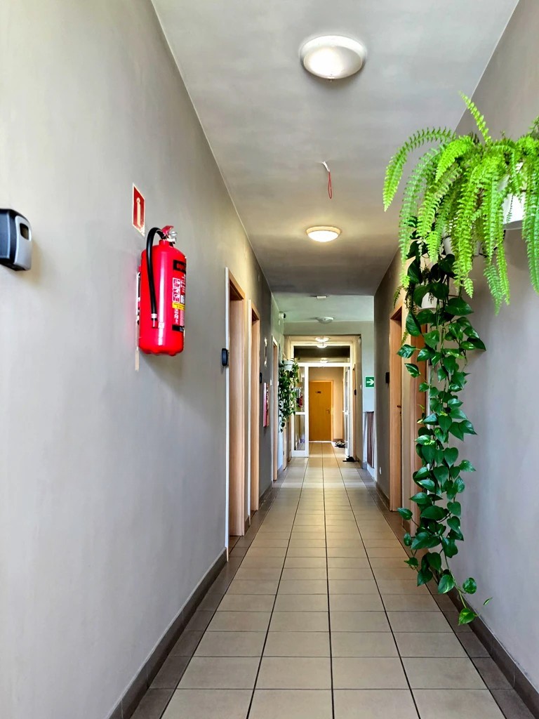 Korytarz hotelowy z drzwiami do pokoi, oświetleniem sufitowym i zielonymi roślinami ozdobnymi – Noclegi Gorzów w Baczynie