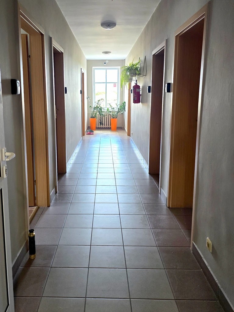 Korytarz z drzwiami do pokoi, dużym oknem na końcu i roślinami w donicach – Noclegi Gorzów w Baczynie