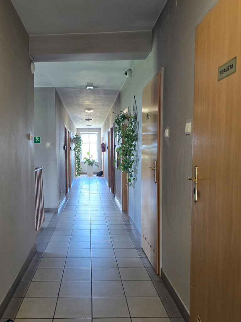 Korytarz z drzwiami prowadzącymi do toalety oraz pokoi, ozdobiony roślinami i oświetleniem sufitowym – Noclegi Gorzów w Baczynie